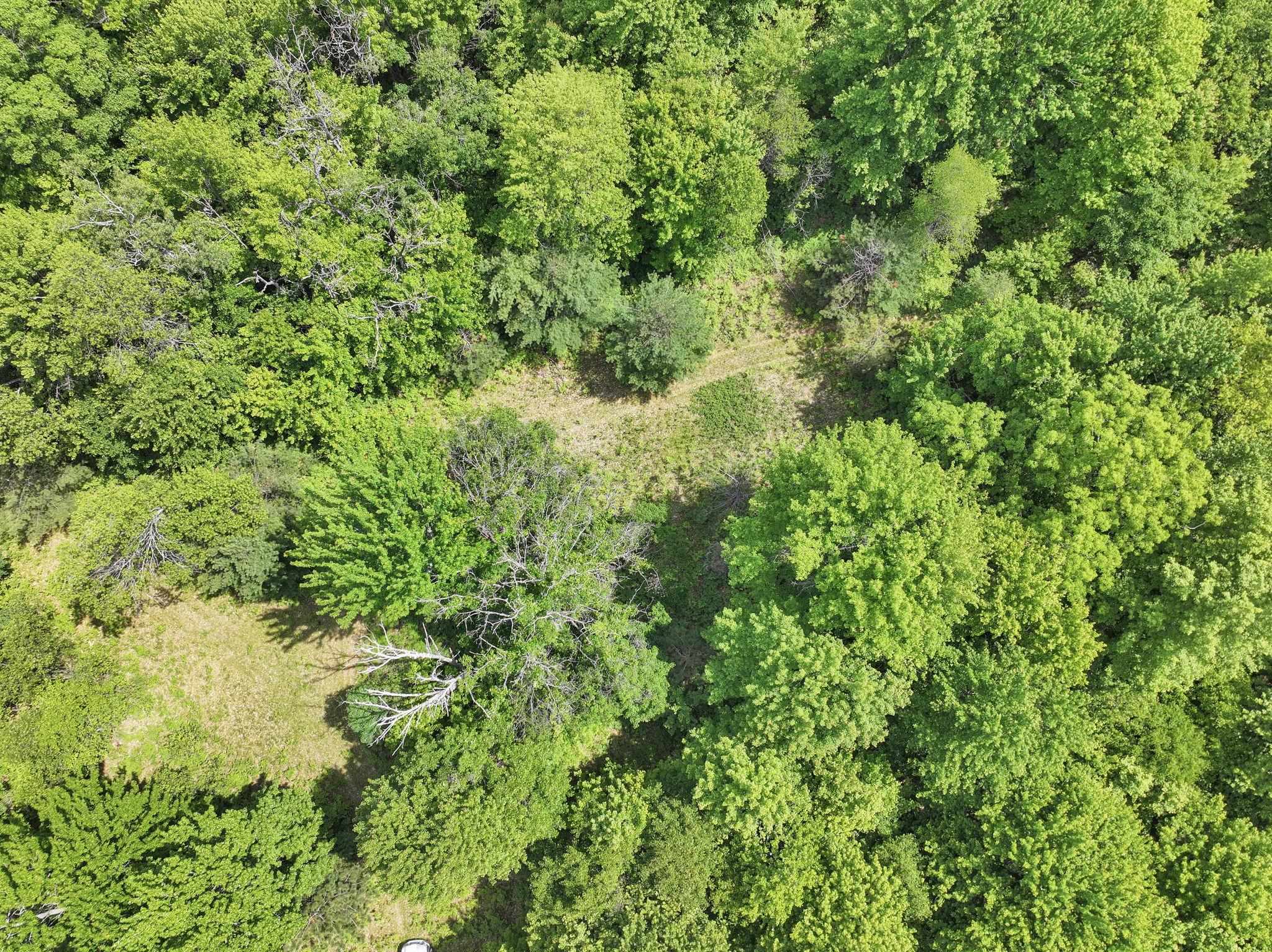 Parcel C Seeley Road Cadillac, MI 49651 - Photo 11 of 18