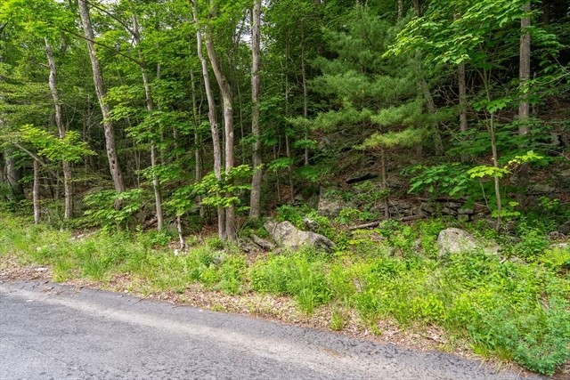 0 East Otis Road Otis, MA 01253 - Photo 3 of 5 a view of a garden with plants