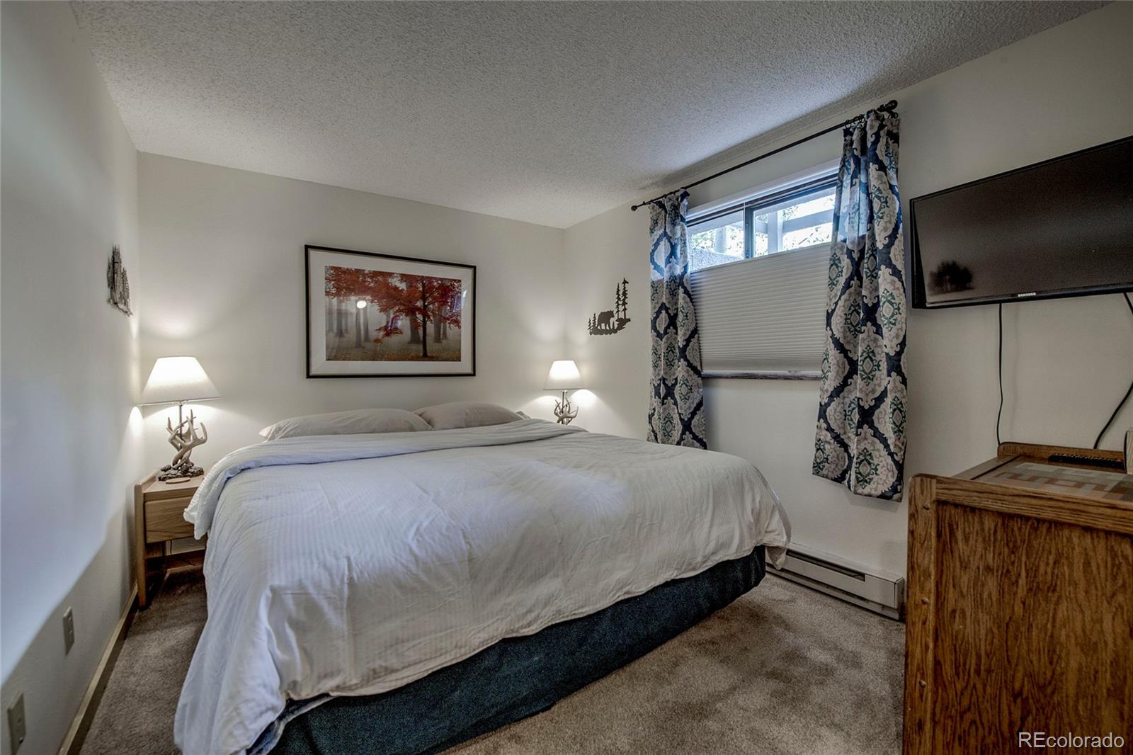 187 Fuller Placer Road, Unit B Breckenridge, CO 80424 - Photo 23 of 29
