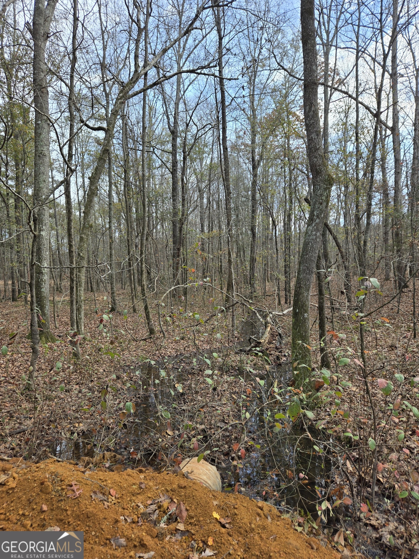 -yatesville R Yatesville Road Barnesville, GA 30204 - Photo 8 of 11