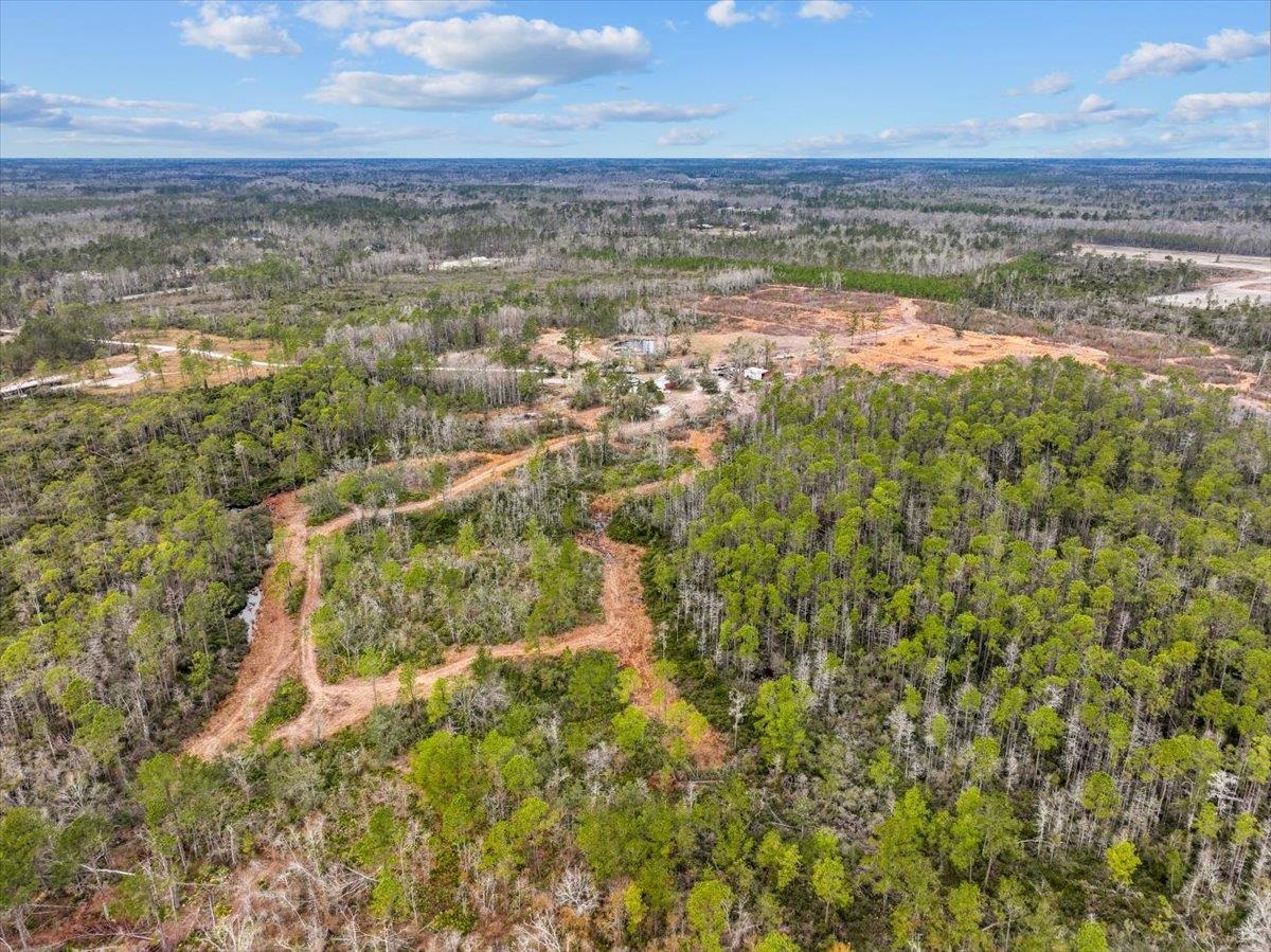 3220 Albert Hendry Road Greenville, FL 32331 - Photo 12 of 22