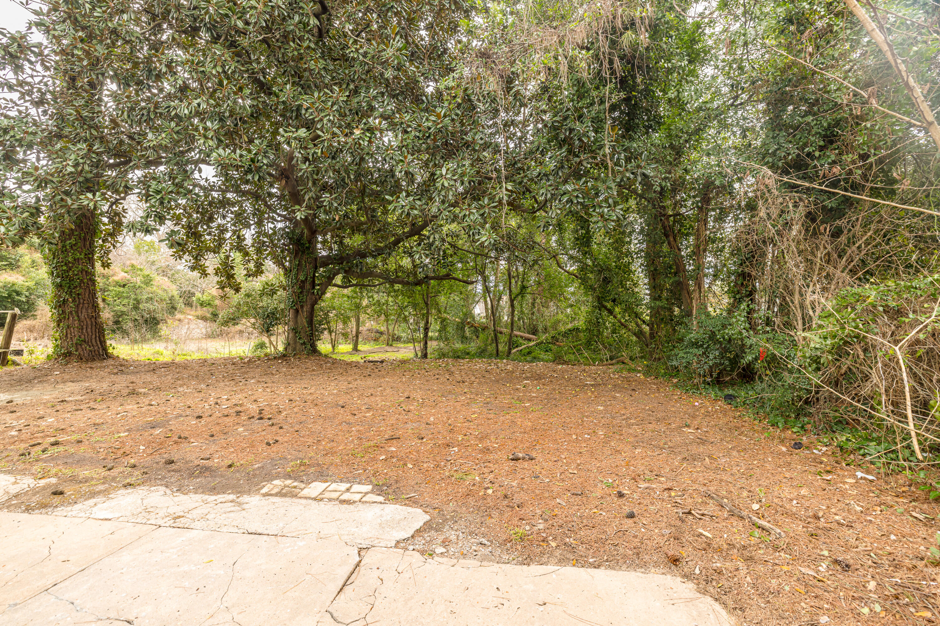 724 Hickman Road Augusta, GA 30904 - Photo 64 of 64 724Hickman_64