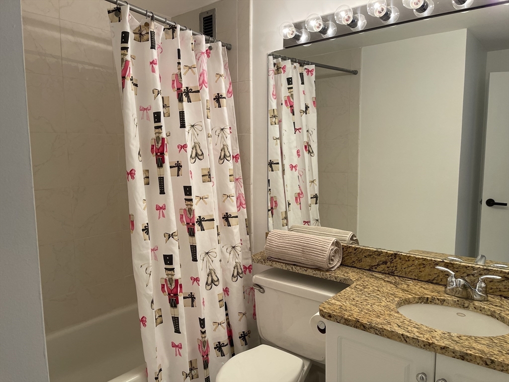 42 8th Street, Unit 1315 Boston, MA 02129 - Photo 9 of 20 a bathroom with a granite countertop sink and a mirror