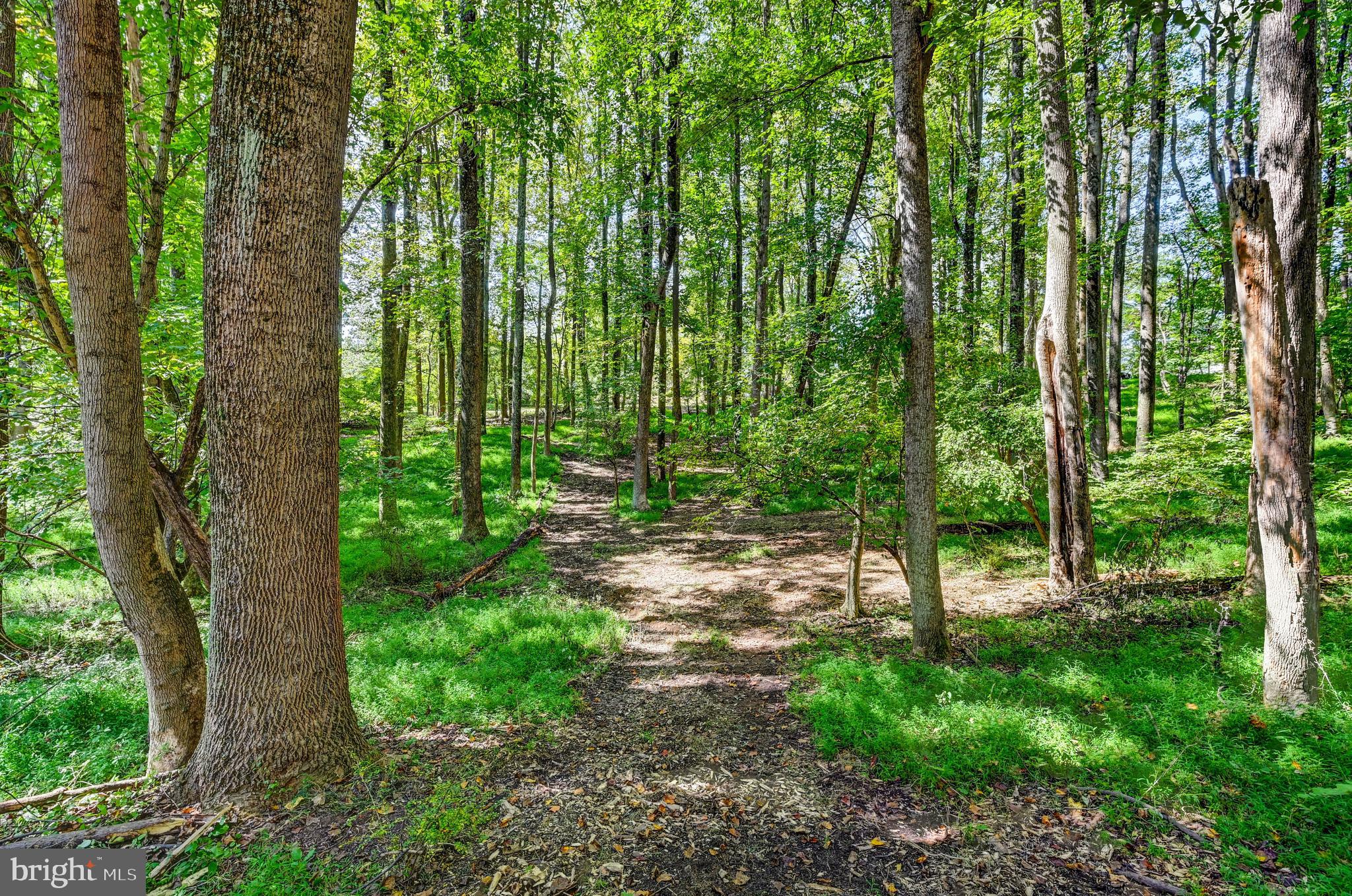 14498 Western Road, Unit 2 Cockeysville, MD 21030 - Photo 14 of 27 a view of a green field in the forest