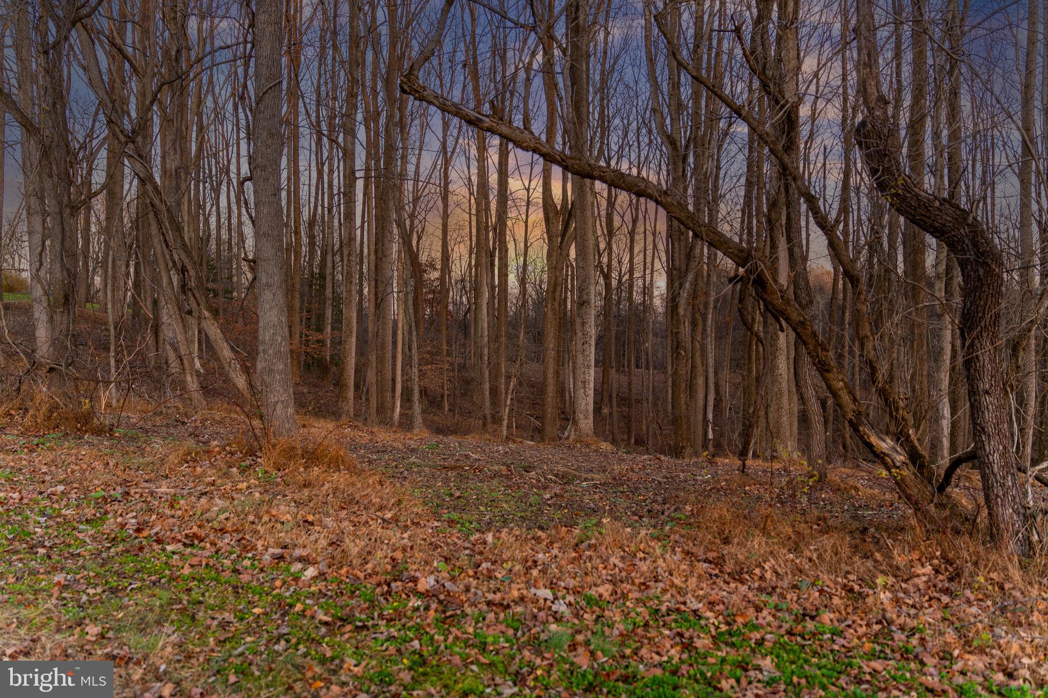14498 Western Road, Unit 2 Cockeysville, MD 21030 - Photo 23 of 27 a view of wooden fence