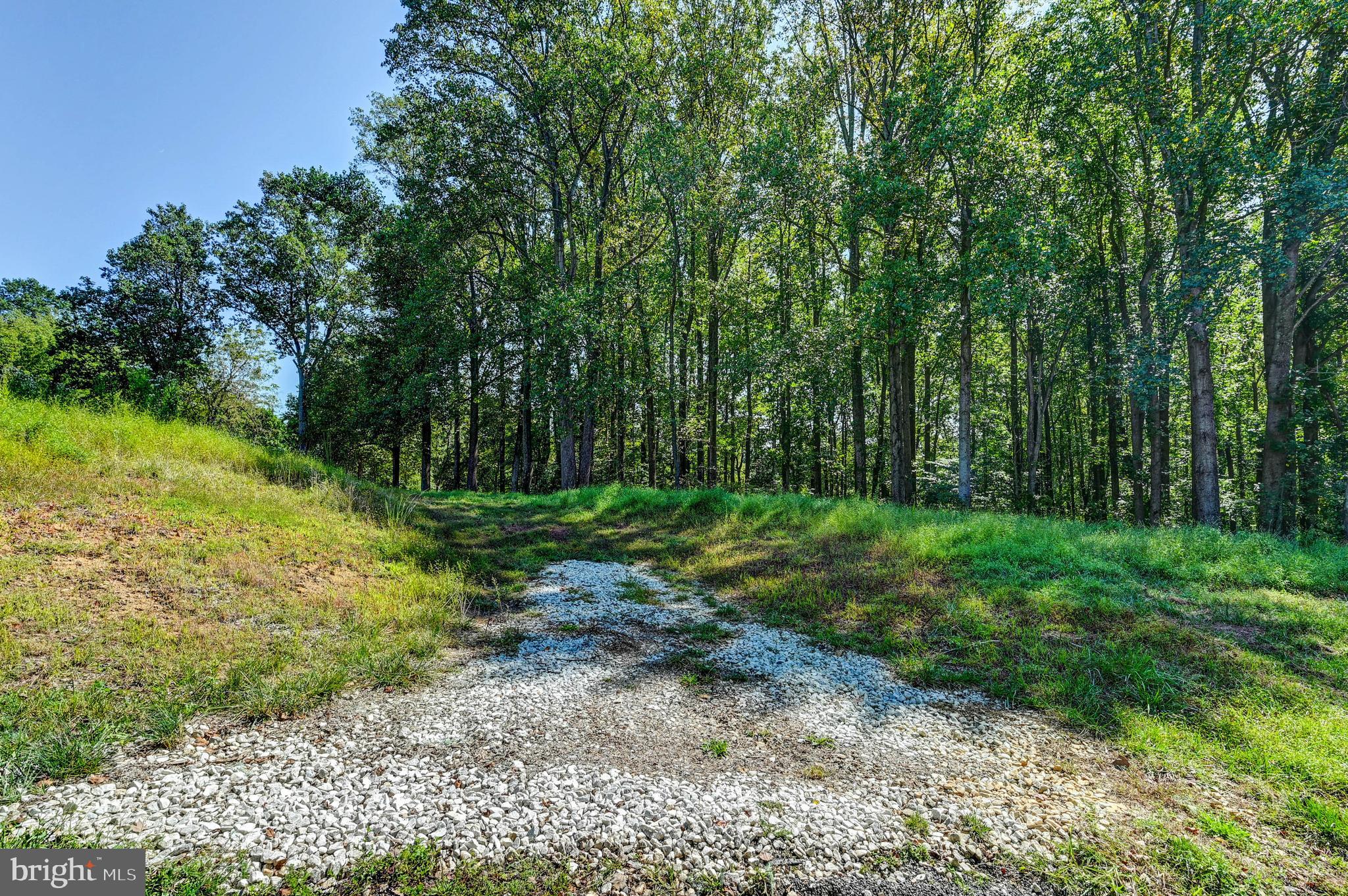 14498 Western Road, Unit 2 Cockeysville, MD 21030 - Photo 26 of 27 a view of a yard with plants and a large tree
