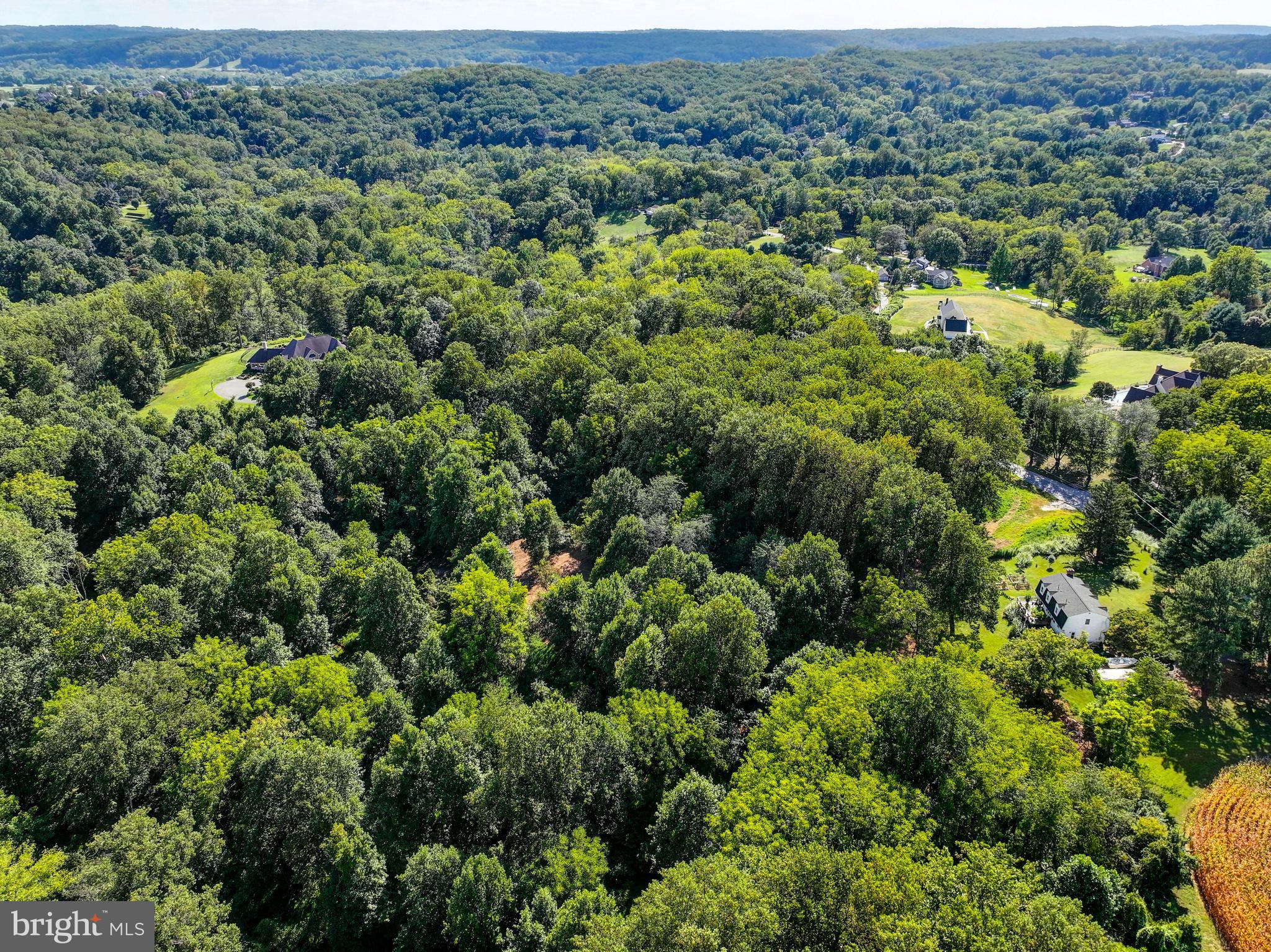 14498 Western Road, Unit 2 Cockeysville, MD 21030 - Photo 6 of 27 an aerial view of a house with a lush green forest
