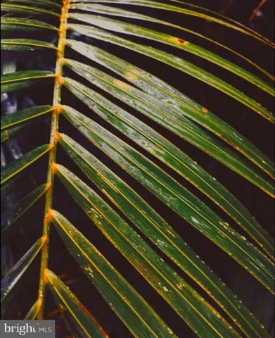 $1,198,000 | 14498 Western Road, Unit 2, Cockeysville, MD 21030