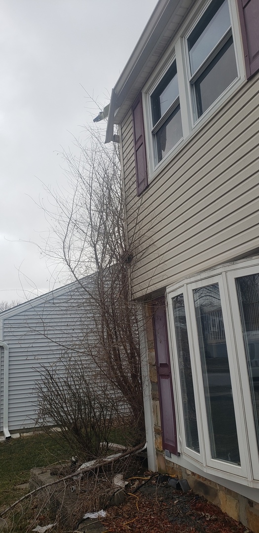 426 Argyll Lane Schaumburg, IL 60169 - Photo 28 of 28