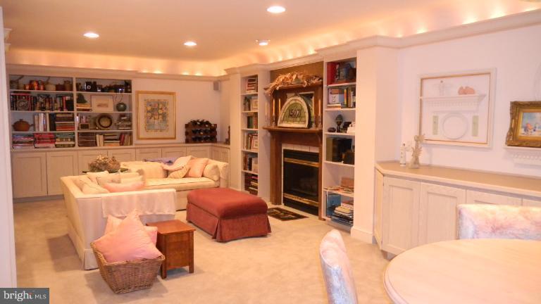 15029 Butterchurn Lane Silver Spring, MD 20905 - Photo 26 of 30 BUILT-INS ON LOWER LEVEL FOR MEDIA STORAGE