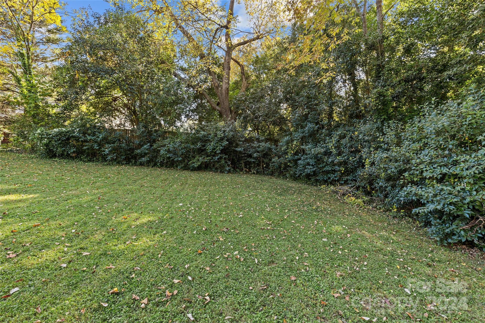 1639 Merry Oaks Road Charlotte, NC 28205 - Photo 44 of 47 a view of a field with a trees in the background