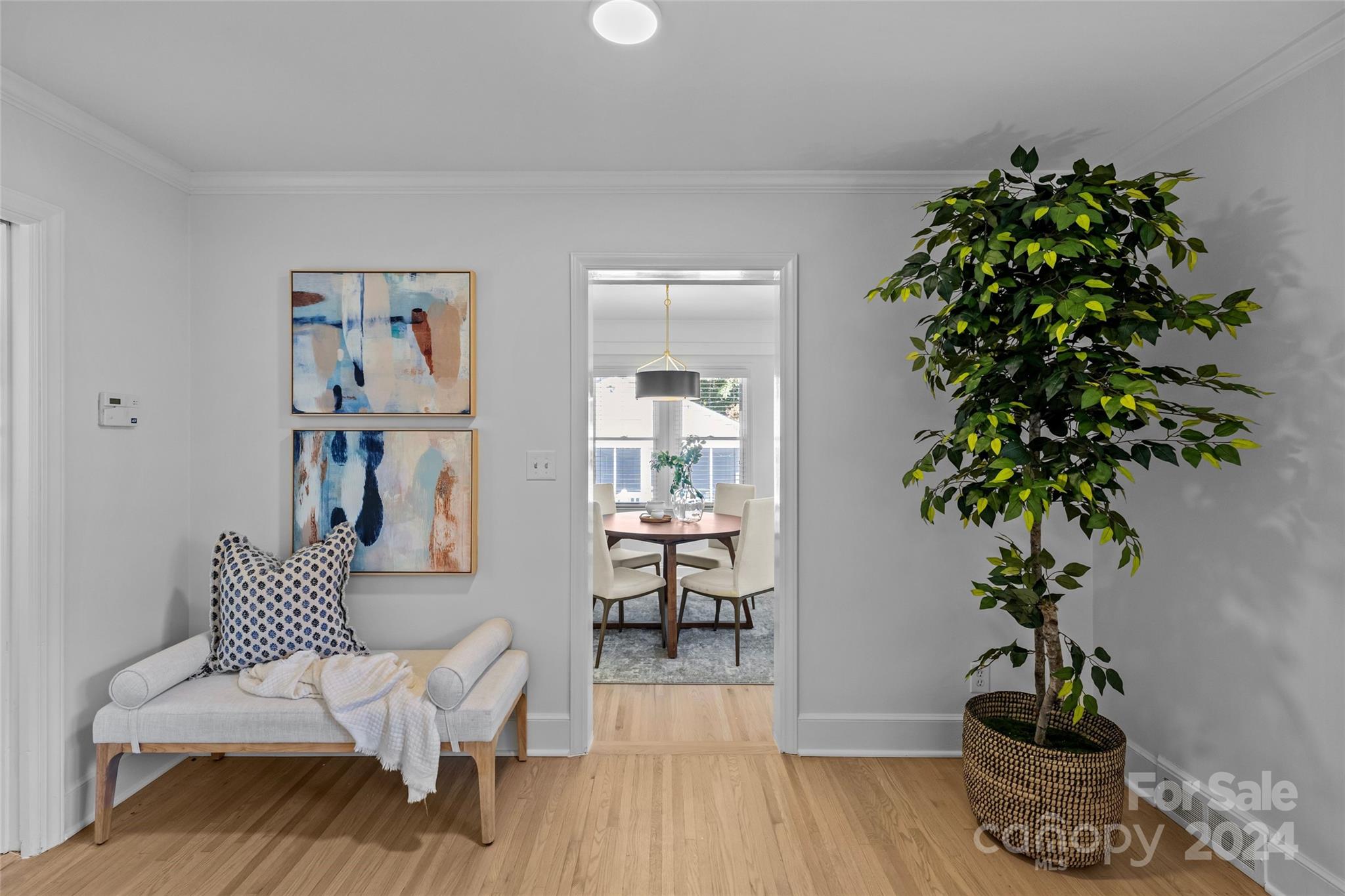 1639 Merry Oaks Road Charlotte, NC 28205 - Photo 10 of 47 a living room with furniture and a potted plant