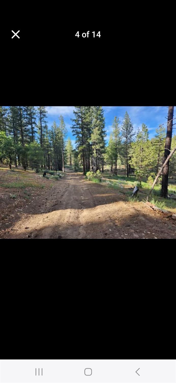 0 Cheney Creek Road Susanville, CA 96130 - Photo 11 of 18 a view of a city