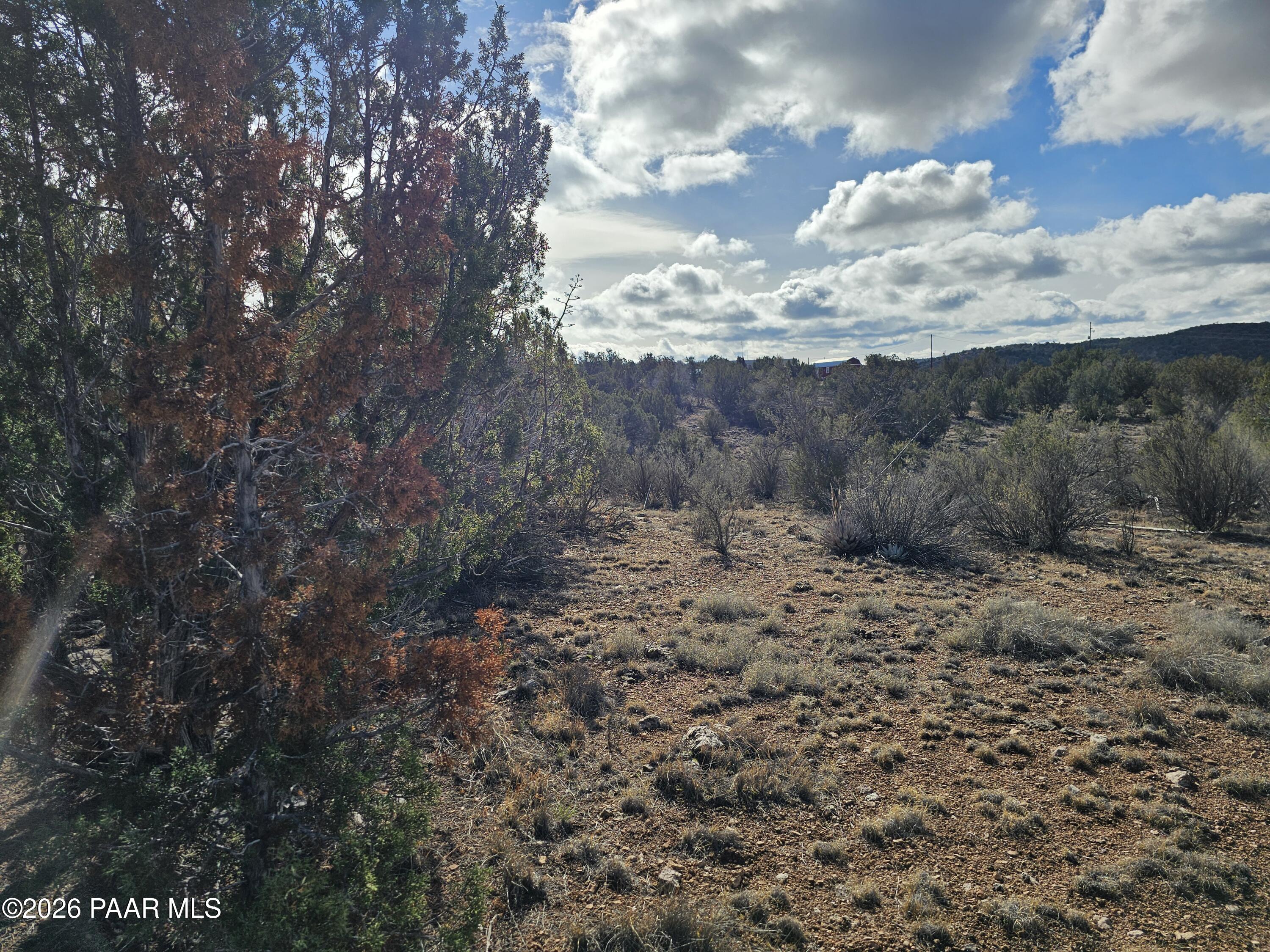 30022 Amalia Road Seligman, AZ 86337 - Photo 2 of 12 Amalia2