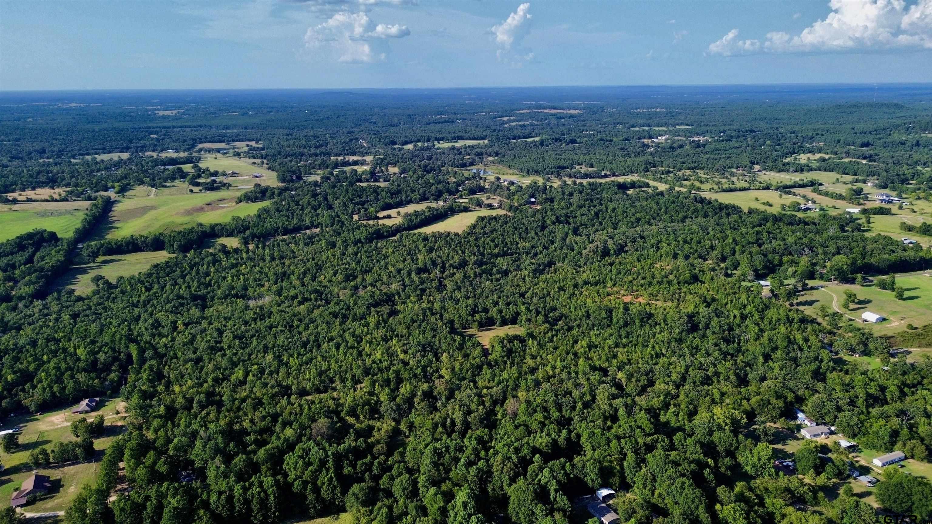 Tbd Silver Spruce Road Gilmer, TX 75645 - Photo 11 of 12 an aerial view of residential houses with outdoor space and trees