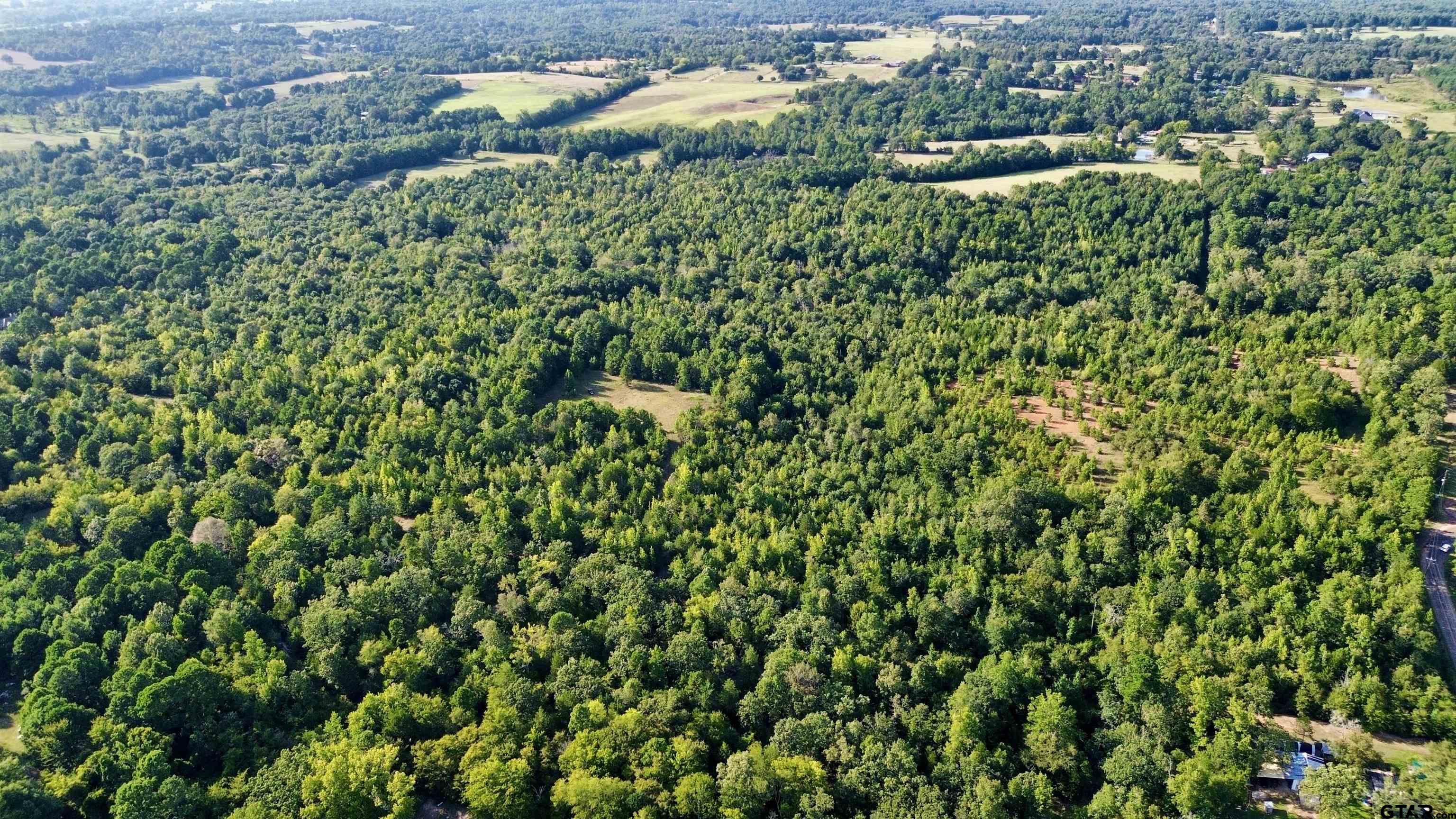 Tbd Silver Spruce Road Gilmer, TX 75645 - Photo 4 of 12 a view of a house with a lush green forest