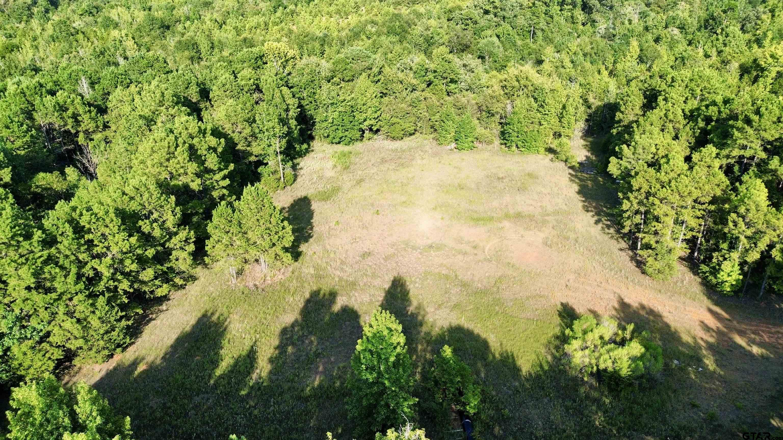 Tbd Silver Spruce Road Gilmer, TX 75645 - Photo 6 of 12 a view of a yard
