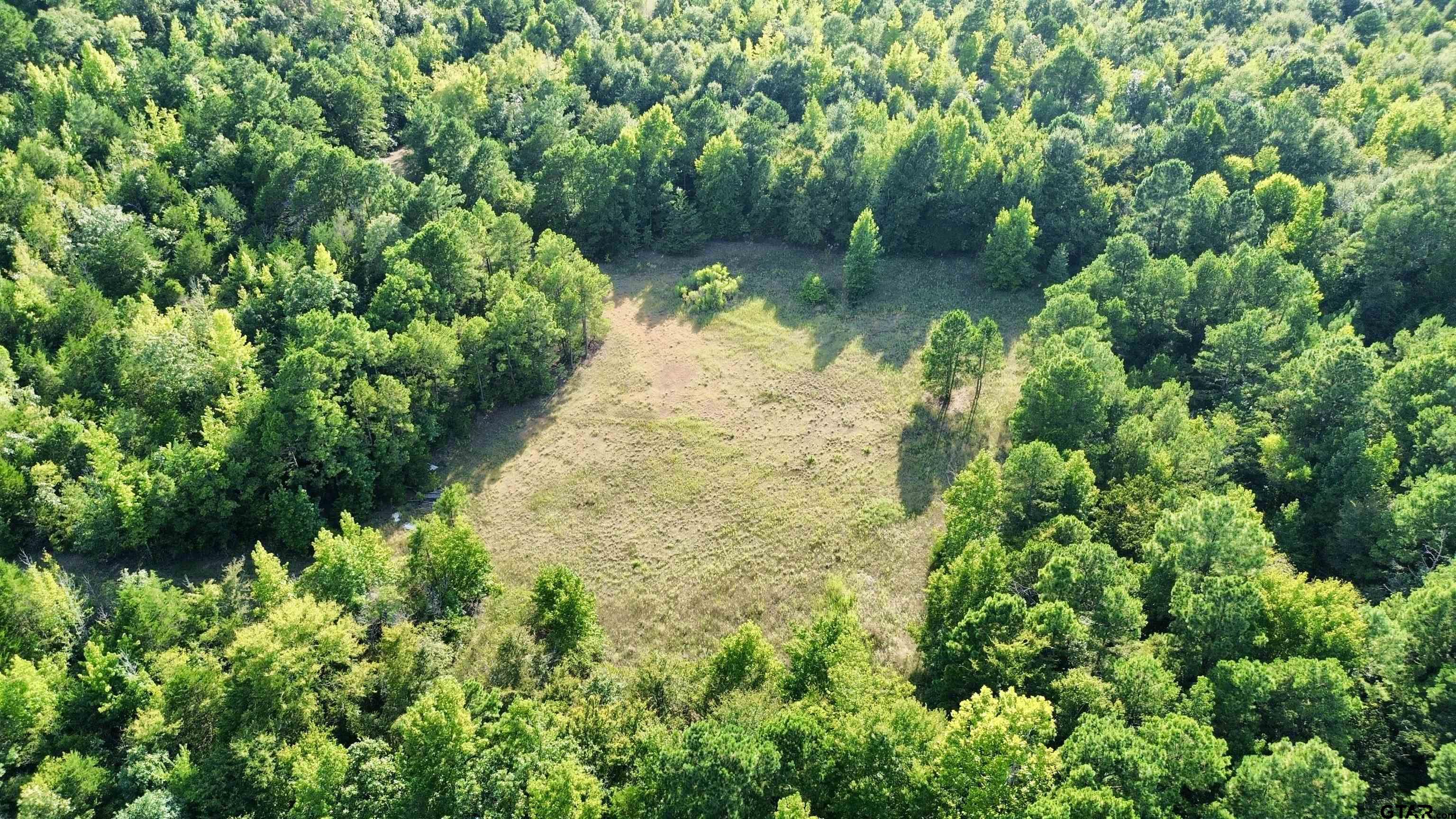 Tbd Silver Spruce Road Gilmer, TX 75645 - Photo 7 of 12 a view of a garden with a lake