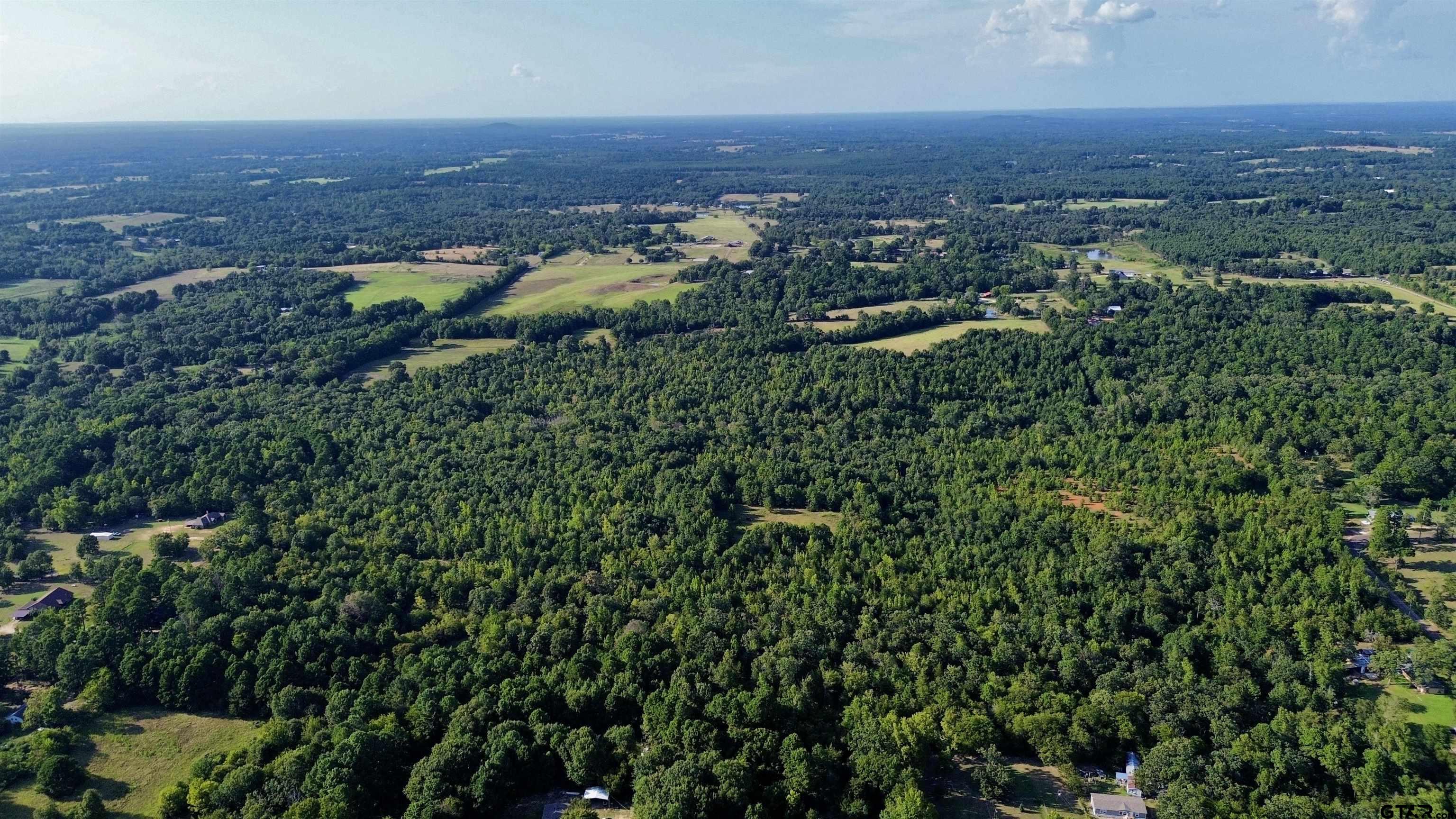 Tbd Silver Spruce Road Gilmer, TX 75645 - Photo 10 of 12 an aerial view of residential house with outdoor space and trees around
