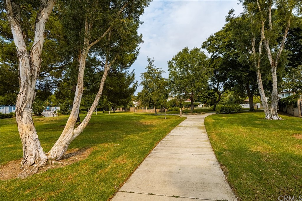 4091 Germainder Way Irvine, CA 92612 - Photo 37 of 47 a park with large trees