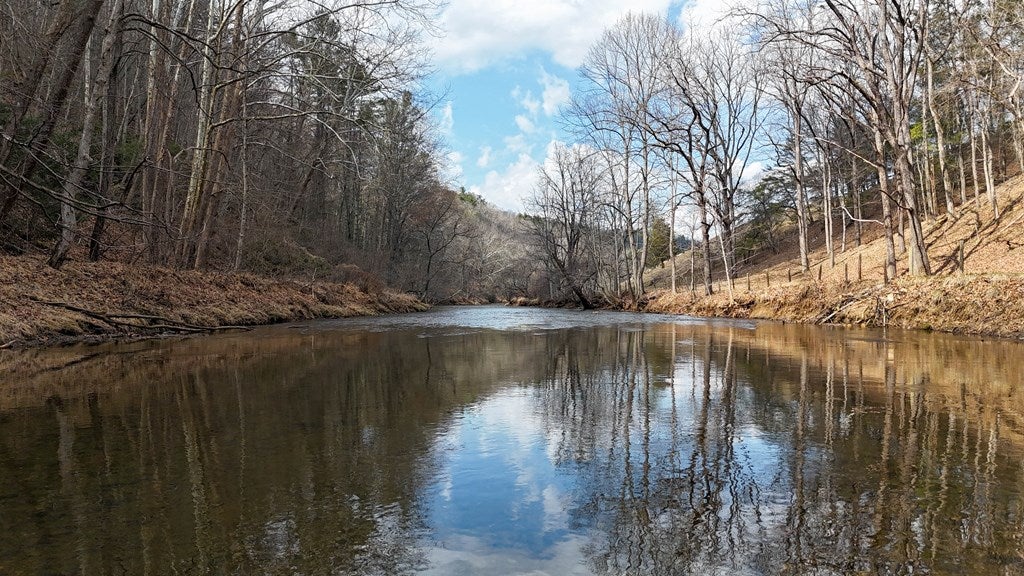 906 Scratch Gravel Road Max Meadows, VA 24360 - Photo 12 of 27 Gallery Image 12