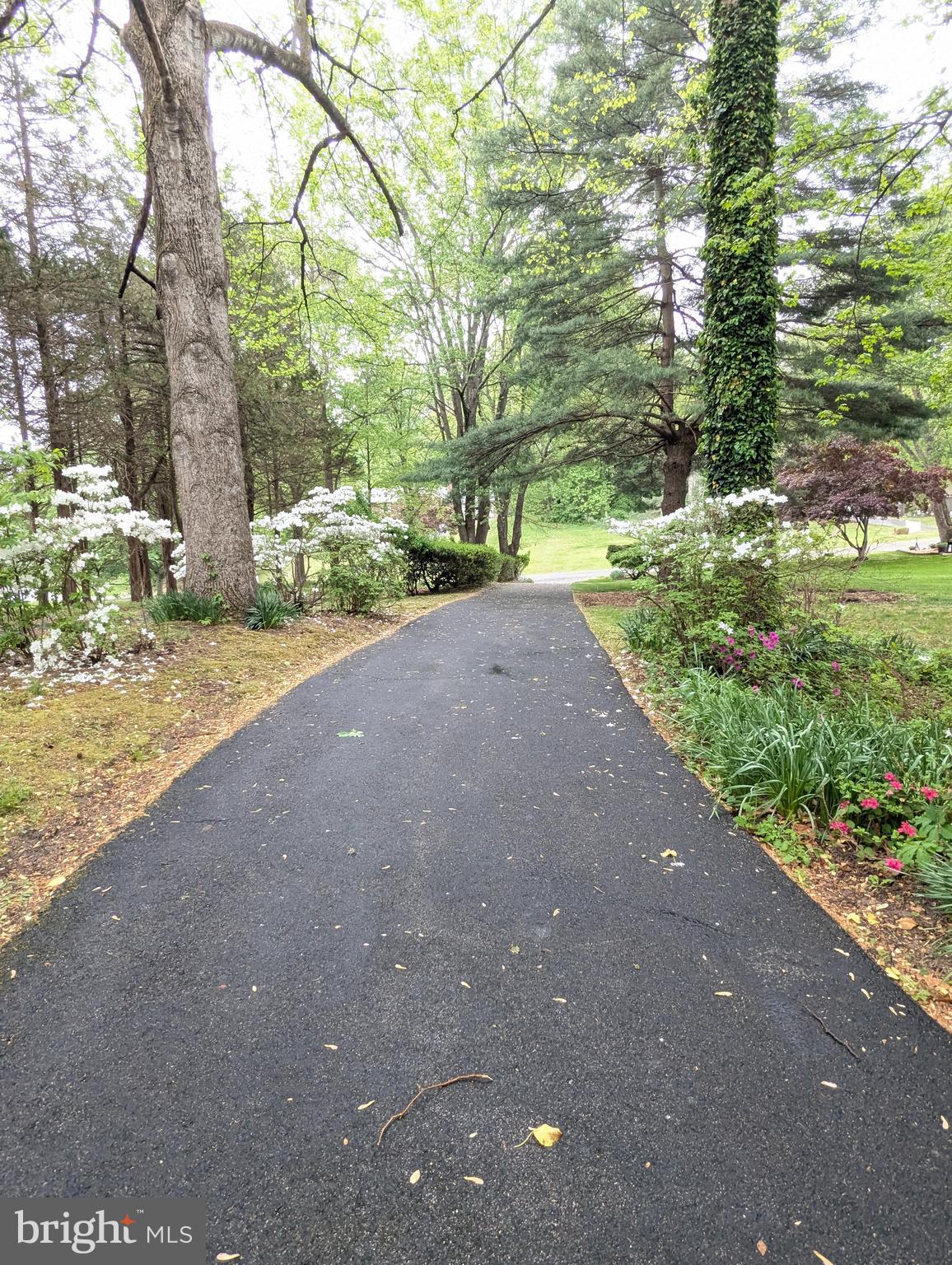 9618 Ridge View Drive North Beach, MD 20714 - Photo 5 of 60