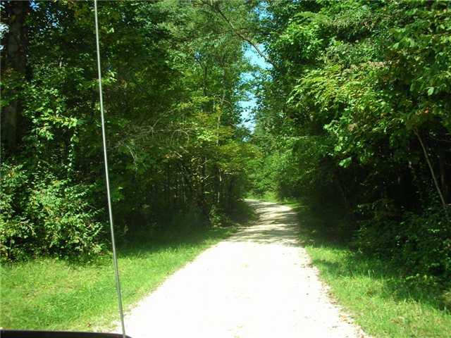 8152 Davison Road Laurel, IN 47024 - Photo 2 of 7