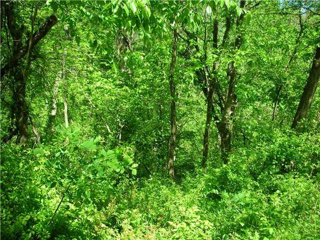 8152 Davison Road Laurel, IN 47024 - Photo 6 of 7