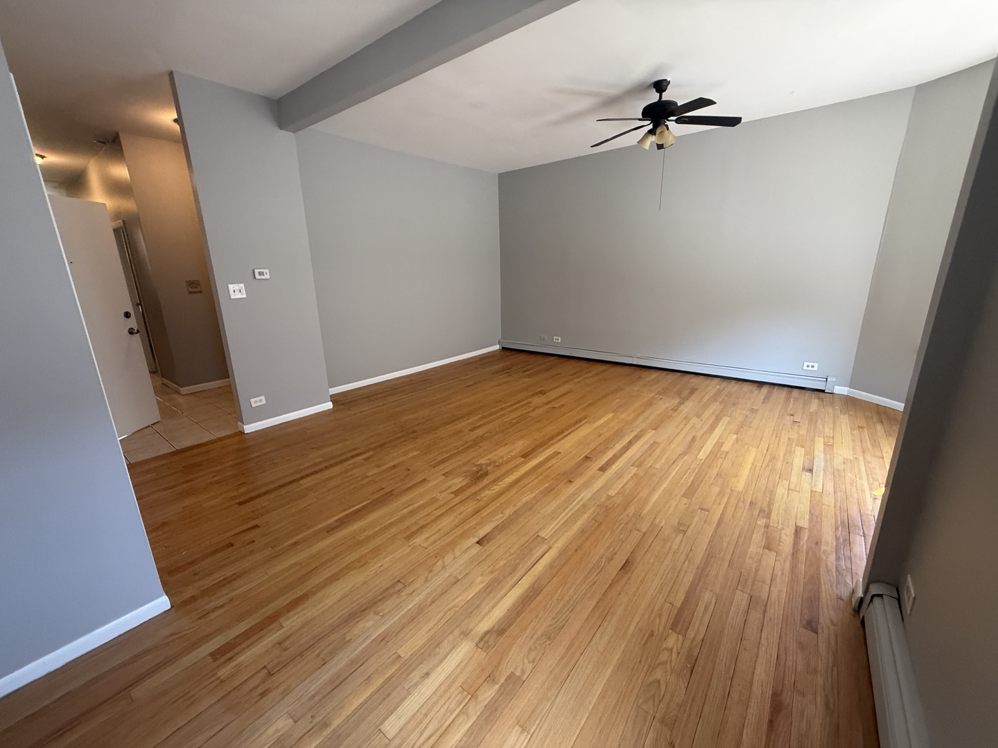 368 East 59th Street, Unit 1 Chicago, IL 60637 - Photo 4 of 14