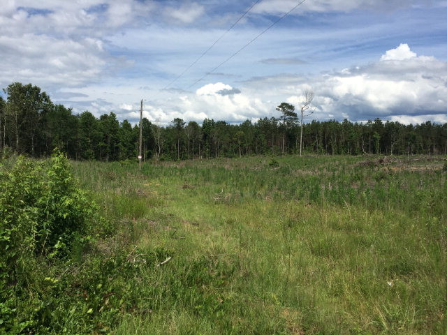 2123 B Old Red Star Road Wesson, MS 39191 - Photo 1 of 1 Main View