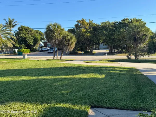 a view of a backyard with a tree
