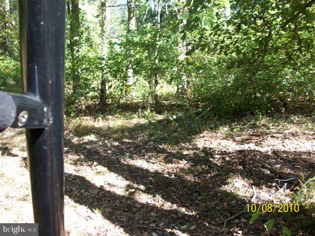 2064 South Forge Road Palmyra, PA 17078 - Photo 3 of 28 Gallery Image 3