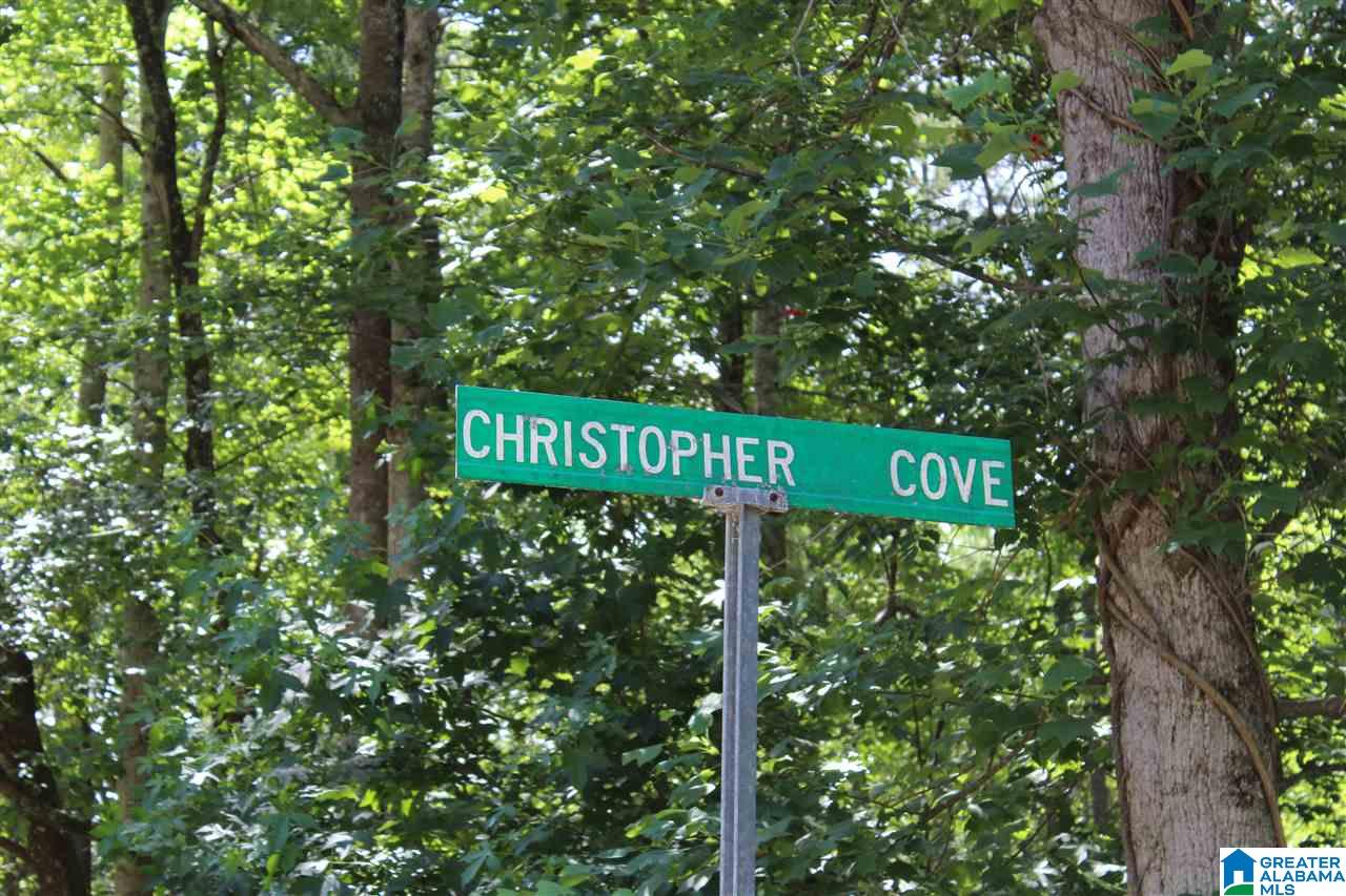 Christopher Cove Sterrett, AL 35147 - Photo 3 of 10