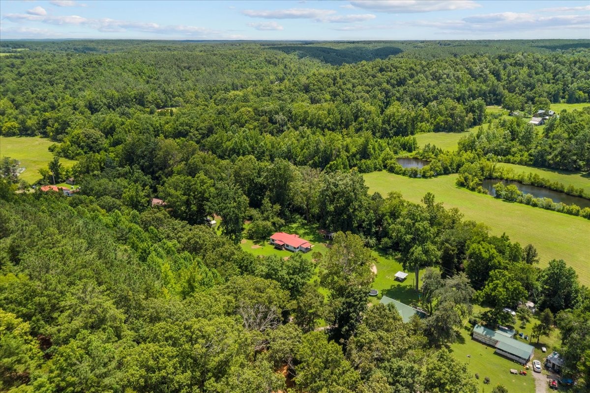 1227 Brushy Road Centerville, TN 37033 - Photo 46 of 60