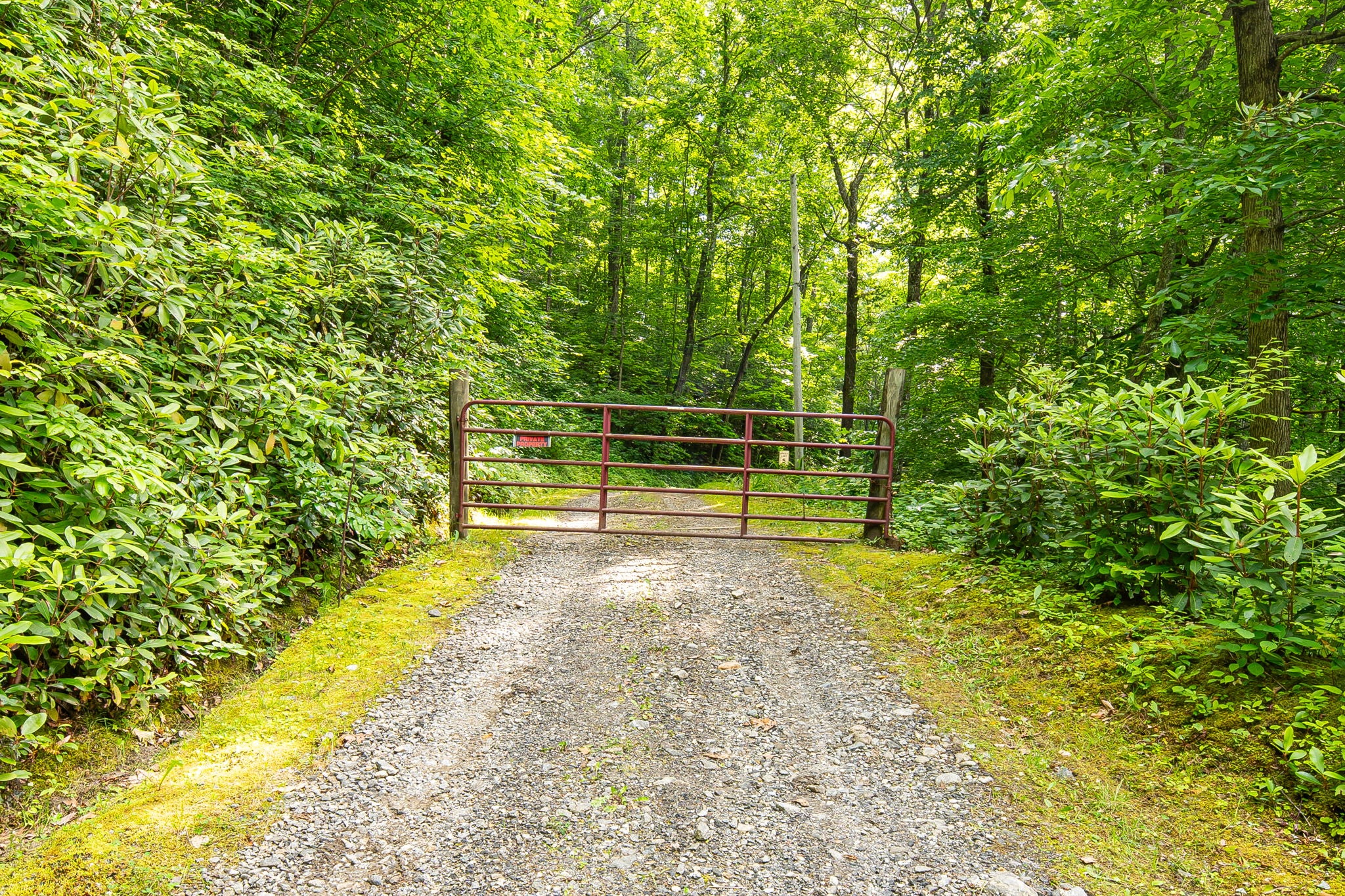832 Dunloggin Road Cullowhee, NC 28723 - Photo 47 of 52 Gallery Image 47