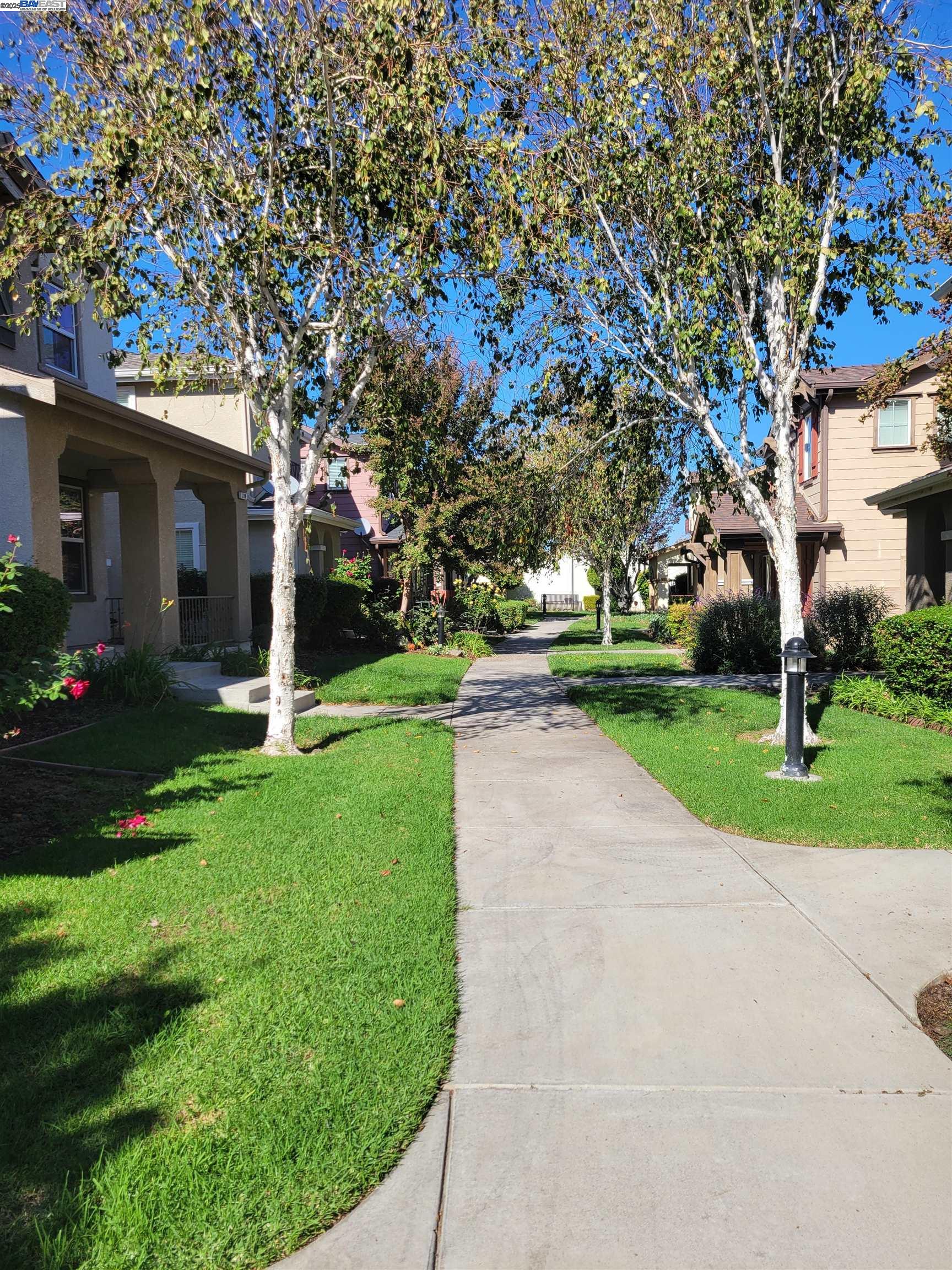 313 Turnstone Circle Pittsburg, CA 94565 - Photo 3 of 16 a view of a yard with plants and trees