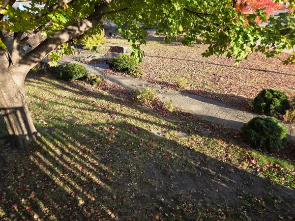 $119,900 | 1550 Minnesota Avenue, Benson, MN 56215