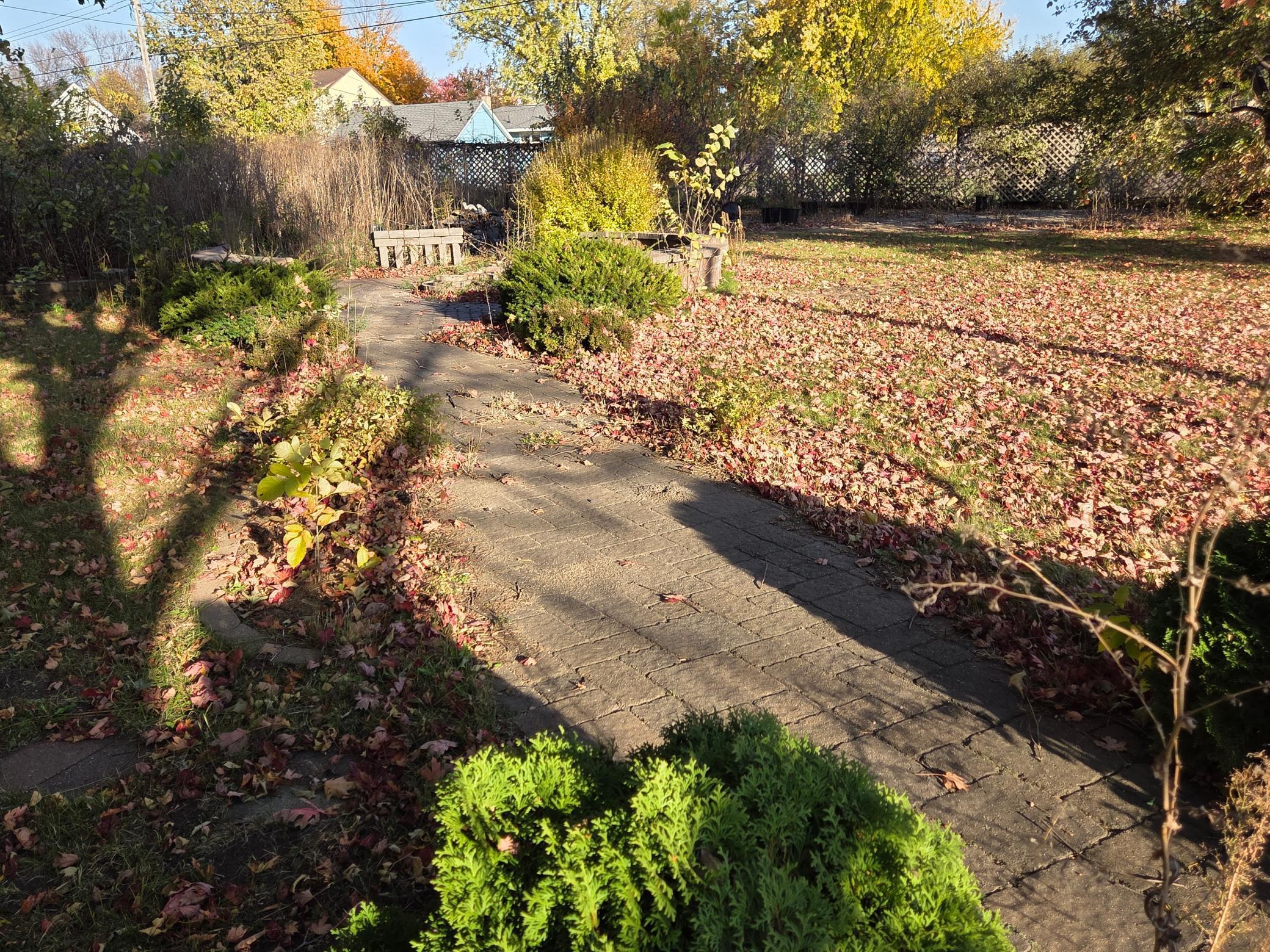 1550 Minnesota Avenue Benson, MN 56215 - Photo 4 of 29