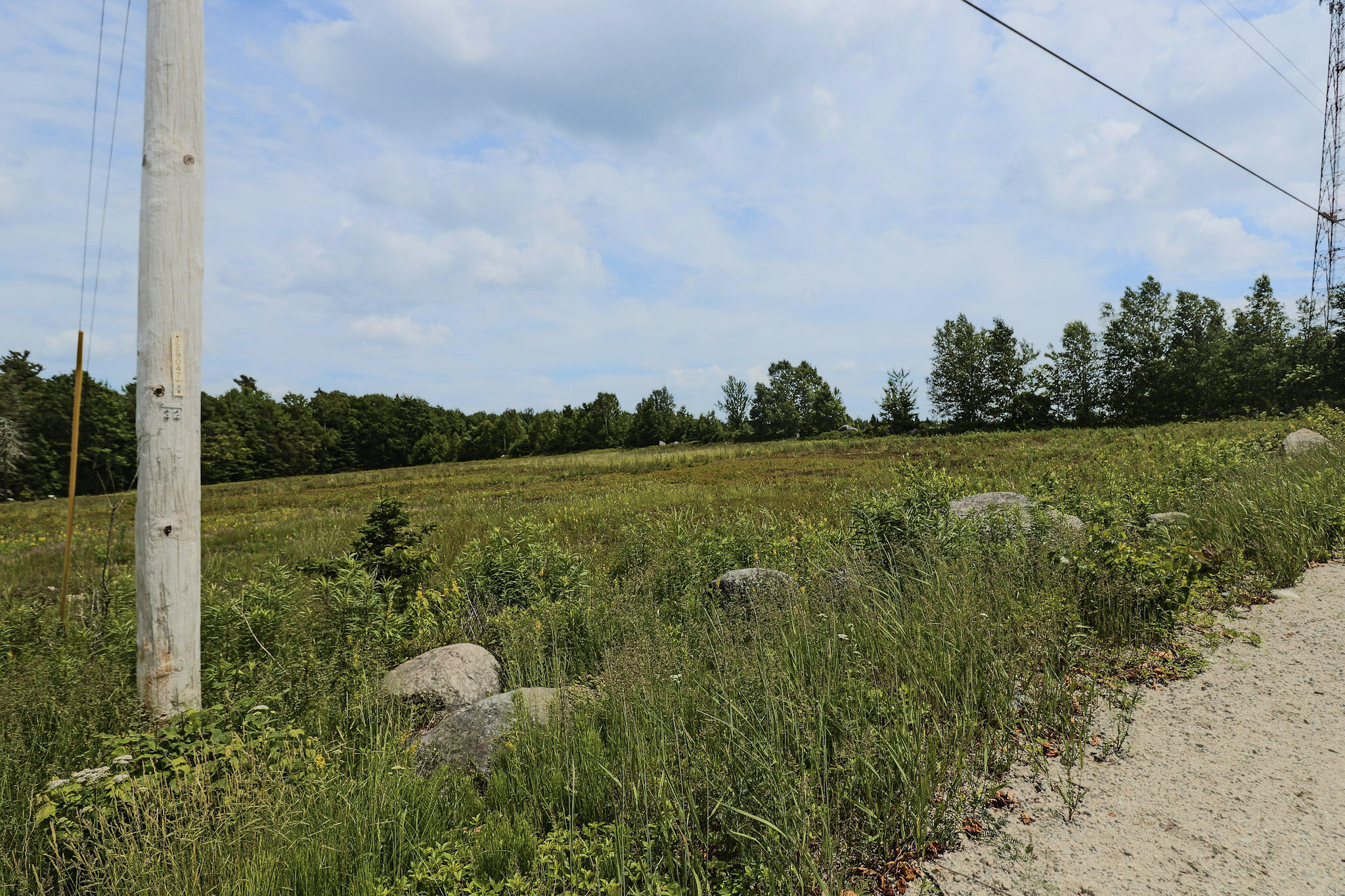 Map13-lot4 Martins Ridge Road Franklin, ME 04634 - Photo 13 of 21 Lot 4