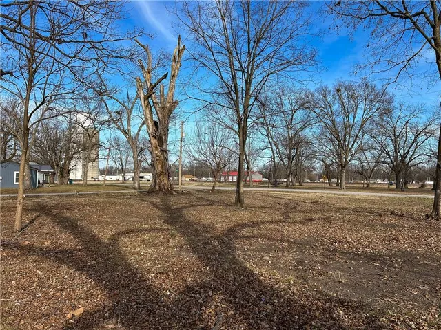 $21,000 | 402 South Broadway Street, Lacygne, KS 66040