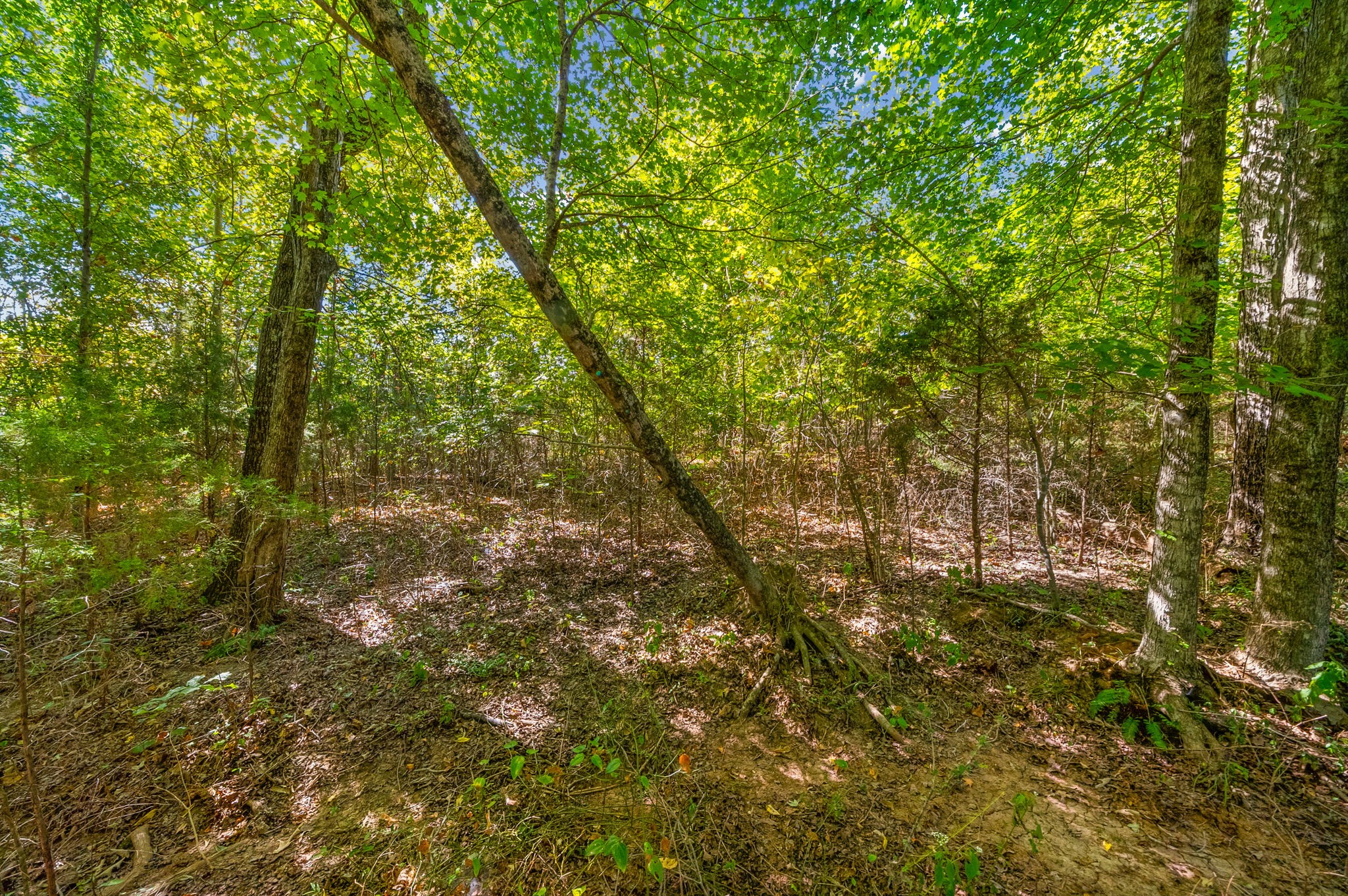 1 Gip Manning Road Clarksville, TN 37042 - Photo 7 of 29 Gallery Image 7