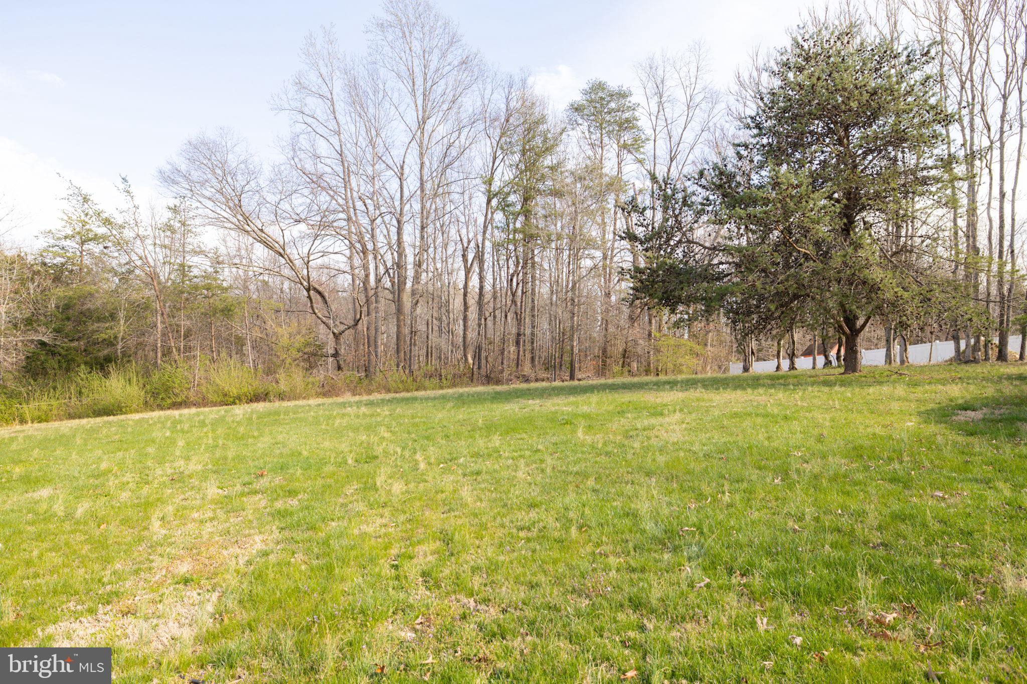 10132 Wallers Road Partlow, VA 22534 - Photo 24 of 40