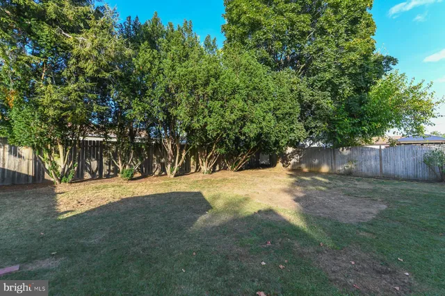 a view of a yard with a tree