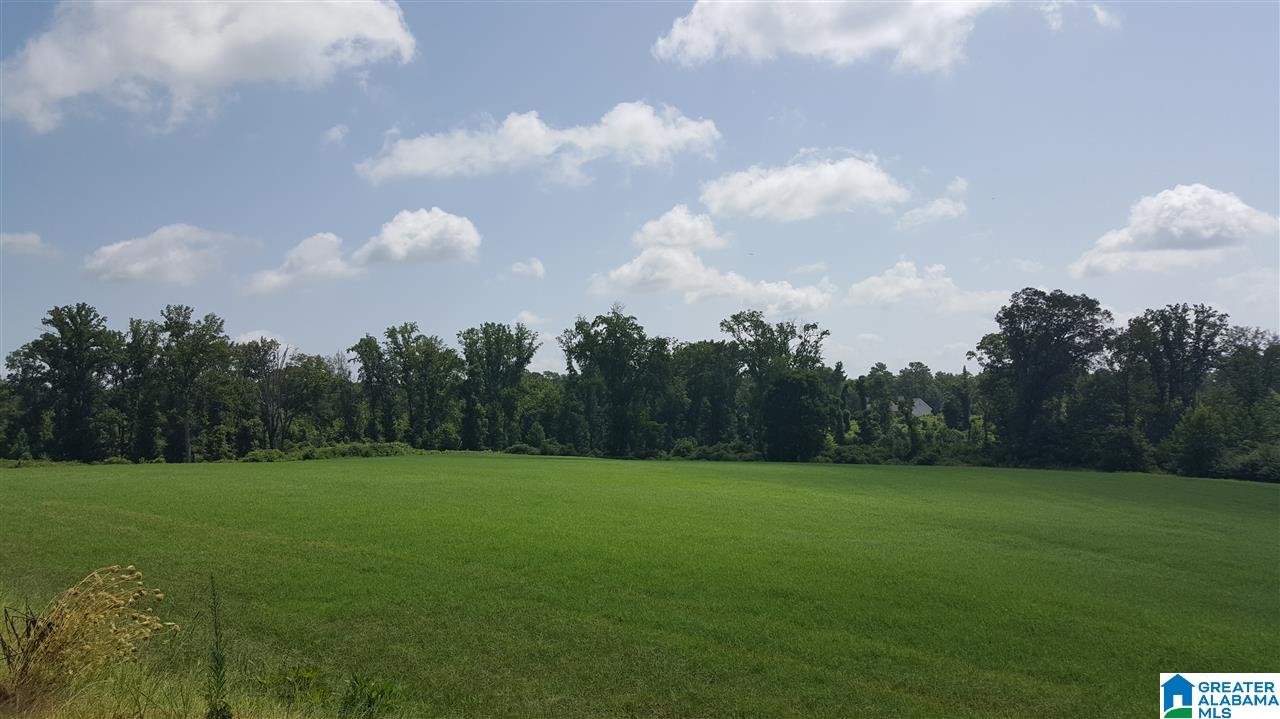 2330 Kemp Road Warrior, AL 35180 - Photo 1 of 5