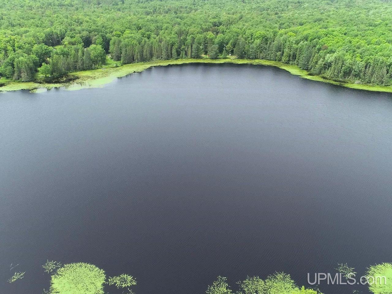 Parcel 1 Grant Lake Road Republic, MI 49879 - Photo 4 of 23