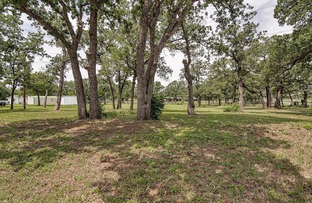 3952 J J Rendon Road Burleson, TX 76028 - Photo 21 of 25 More beautiful mature trees on this lovely acreage.
