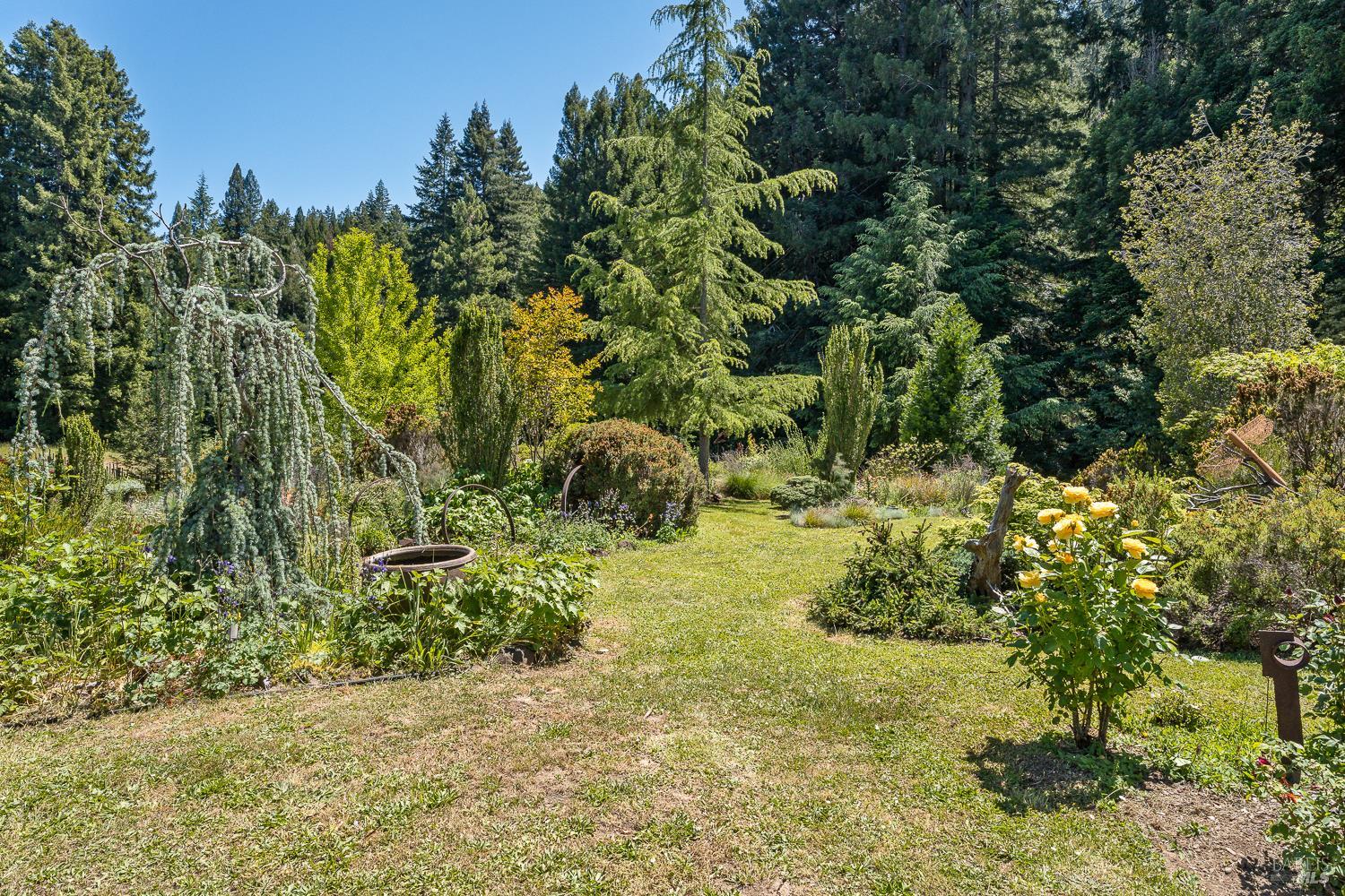31501 Comptche Ukiah Road Comptche, CA 95427 - Photo 42 of 85 Garden