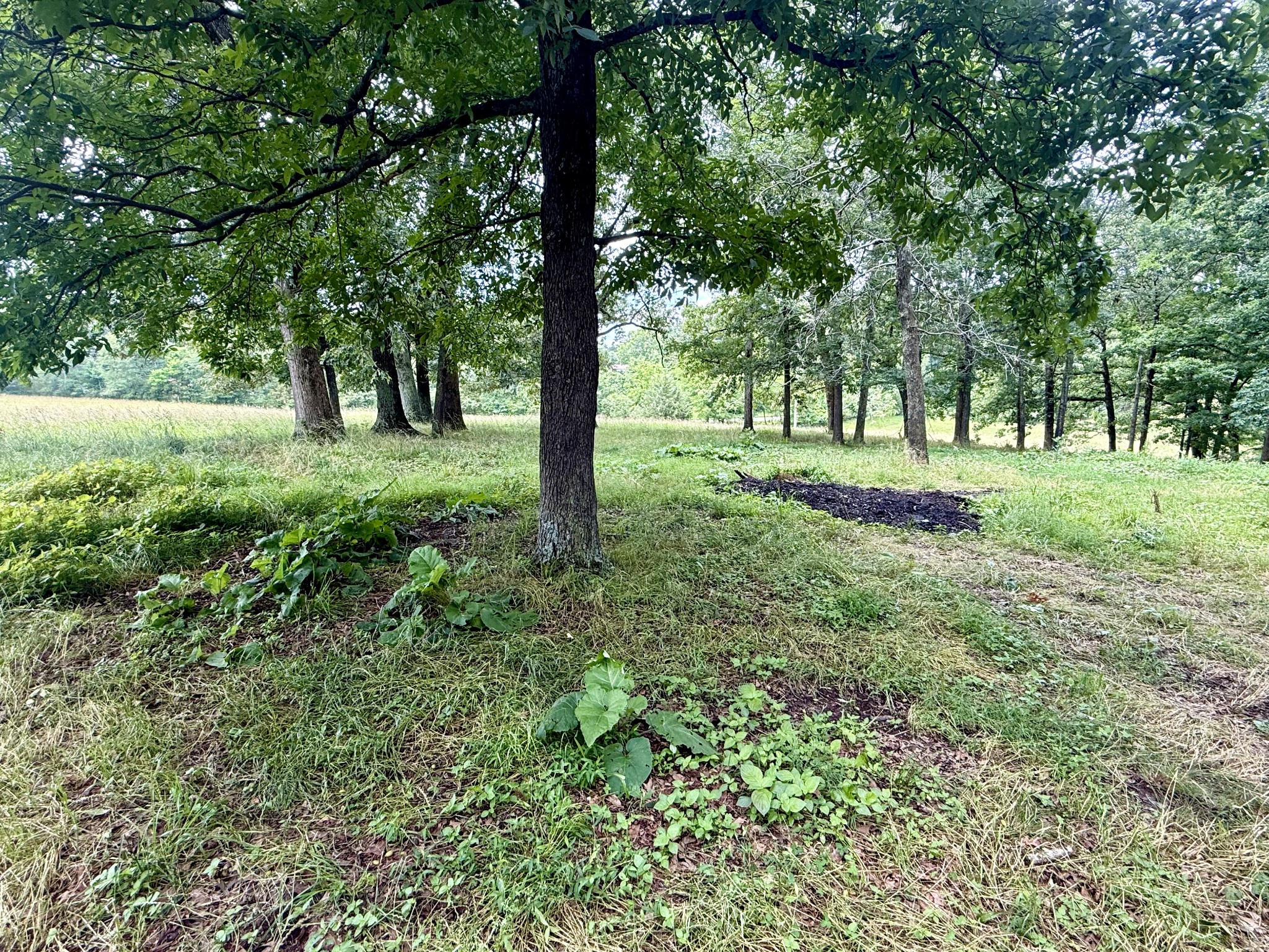 0 Crowder Road Lawrenceburg, TN 38464 - Photo 16 of 58