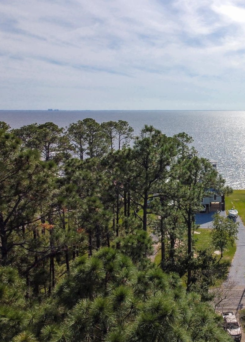 10790 County Road 1 Fairhope, AL 36532 - Photo 7 of 12