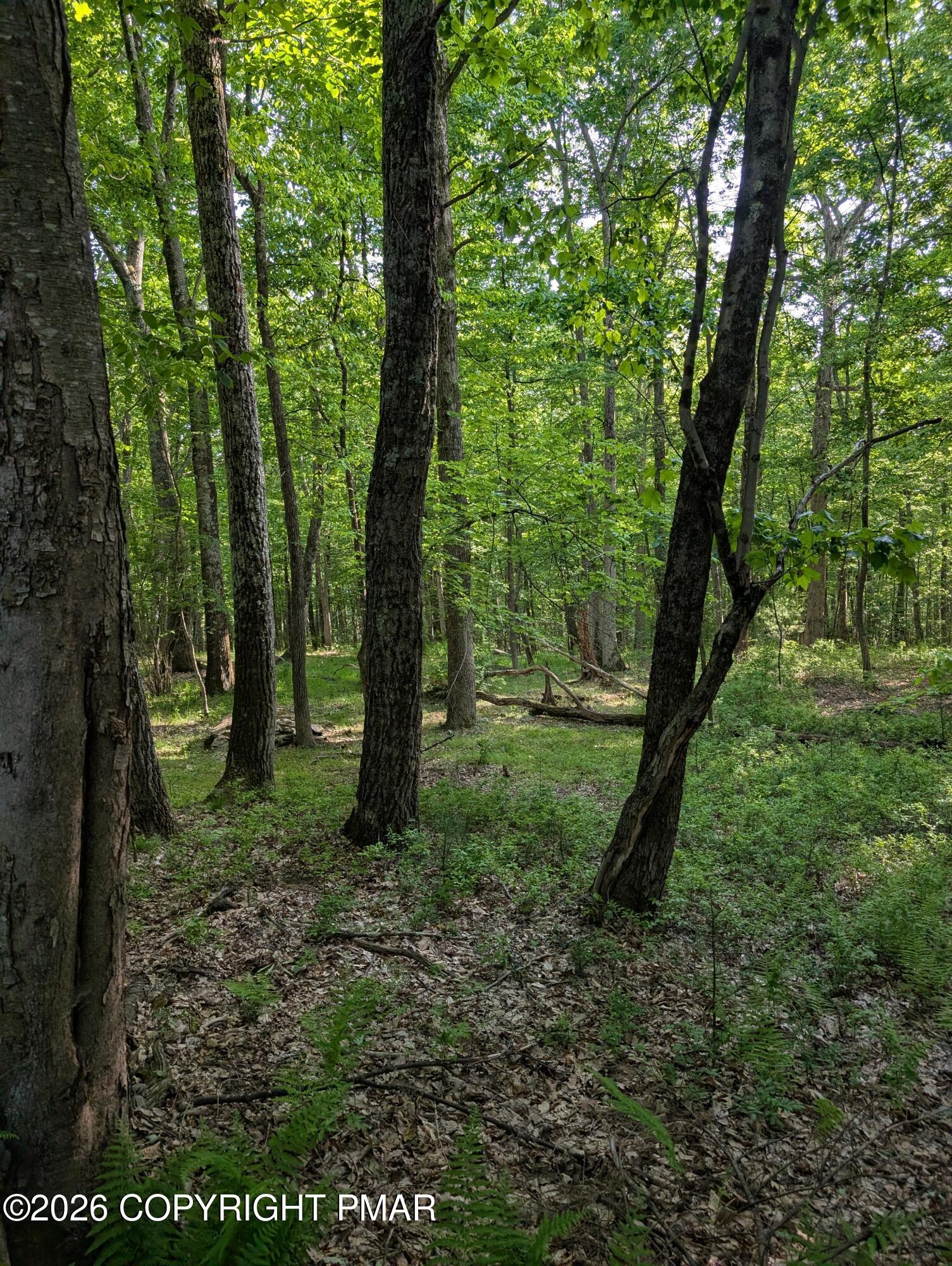 Acorn Ln/meadow Ridge, Unit ADDRESS Dingmans Ferry, PA 18328 - Photo 6 of 6 PXL_20260604_220500295.MP (1)